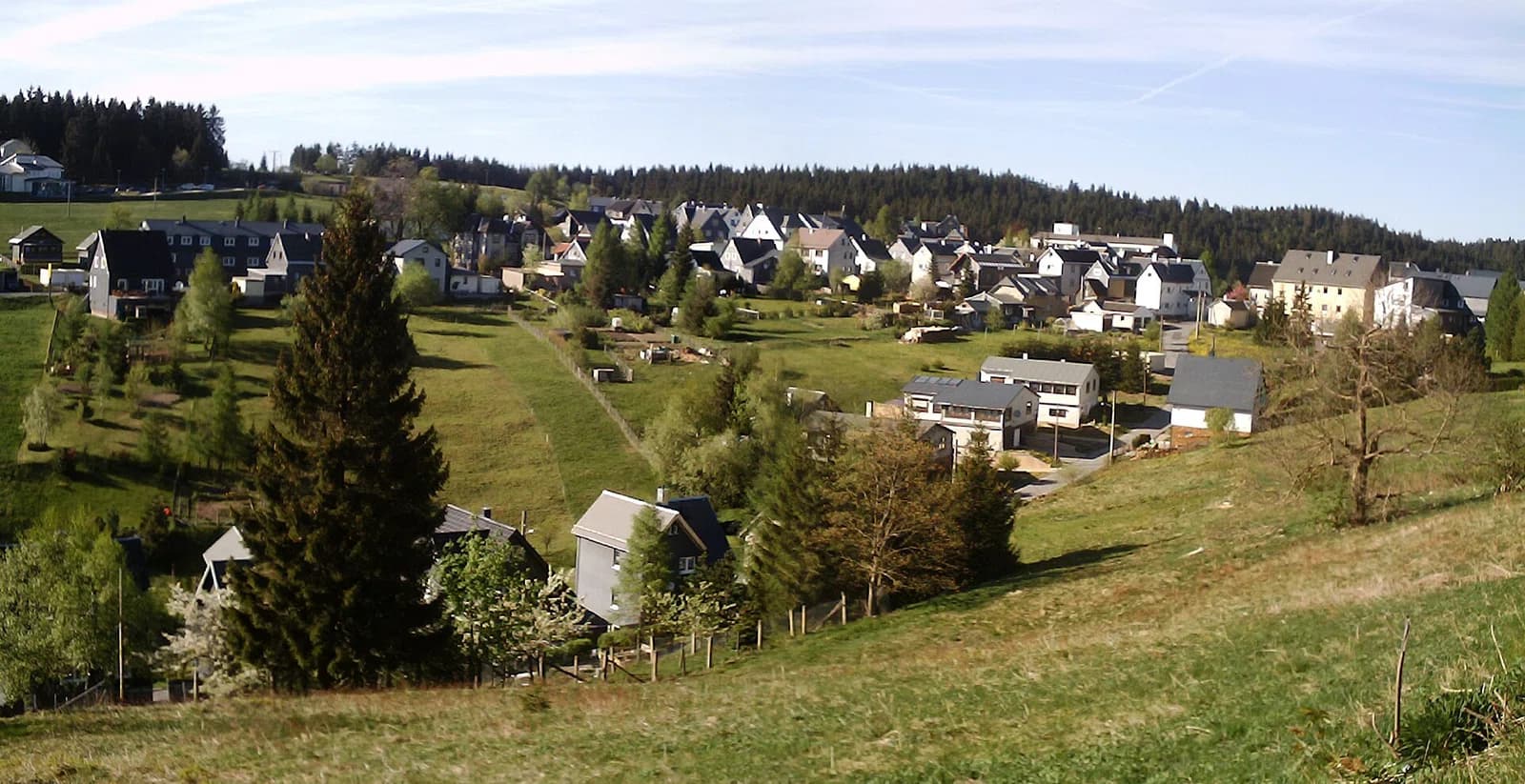 Steinheid