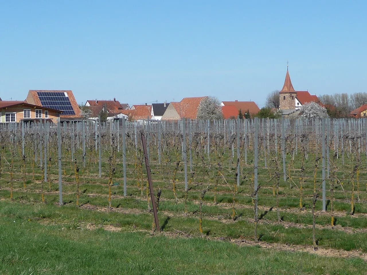 Freimersheim