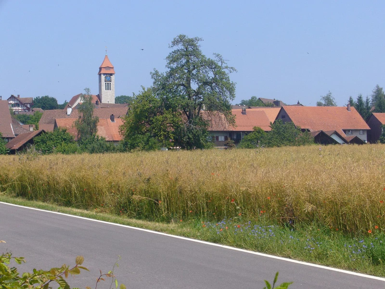 Brütten