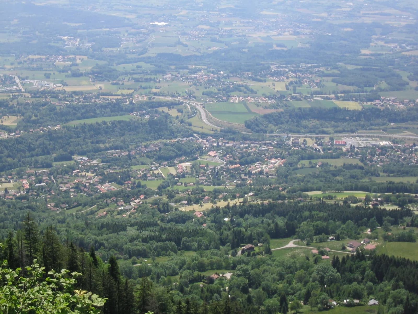 Bonne
