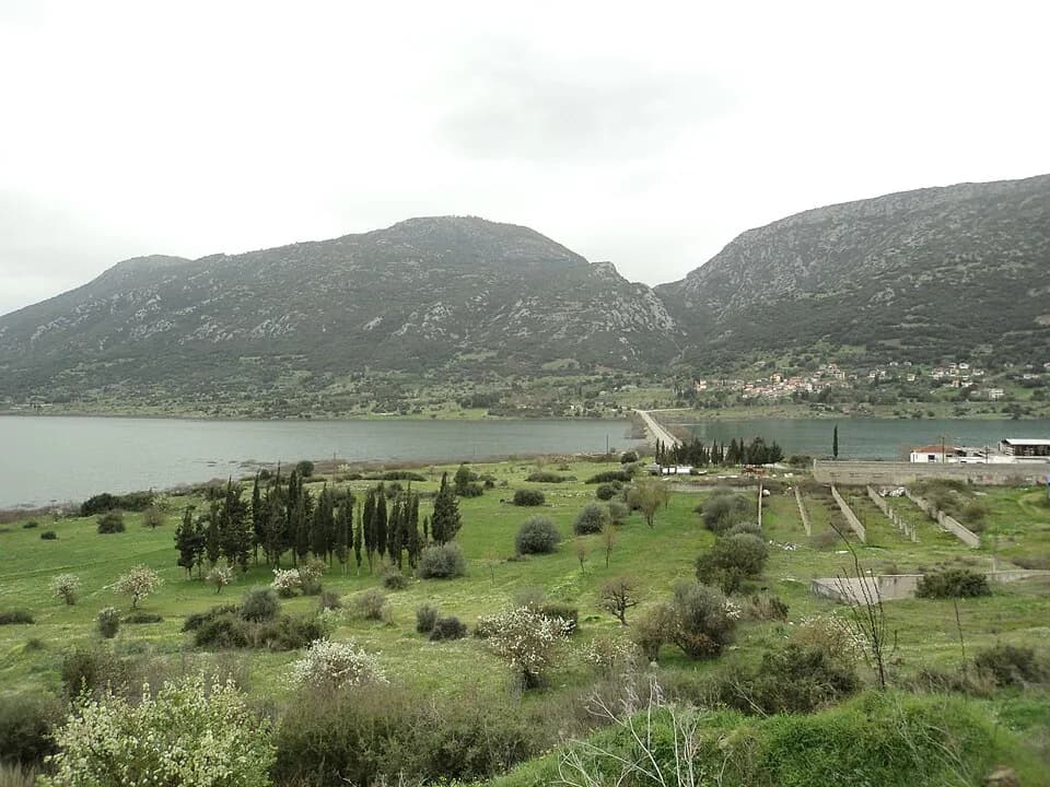 Lidoriki