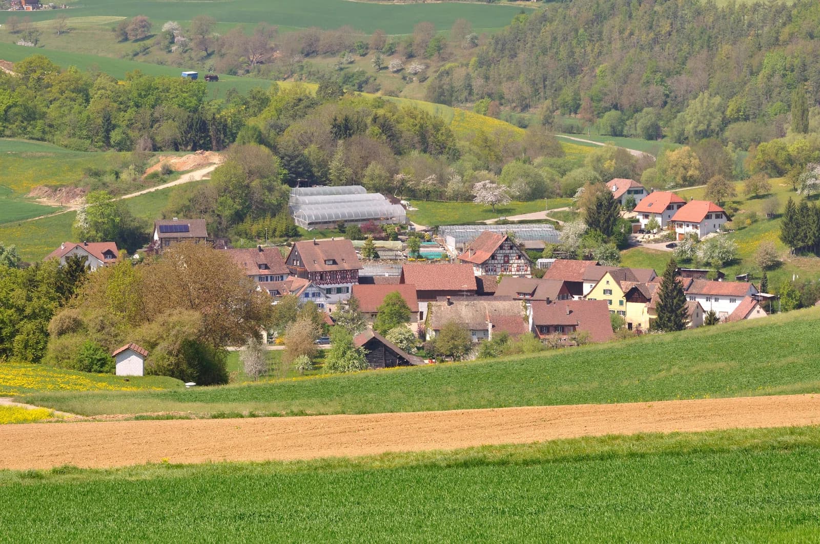 Hofen