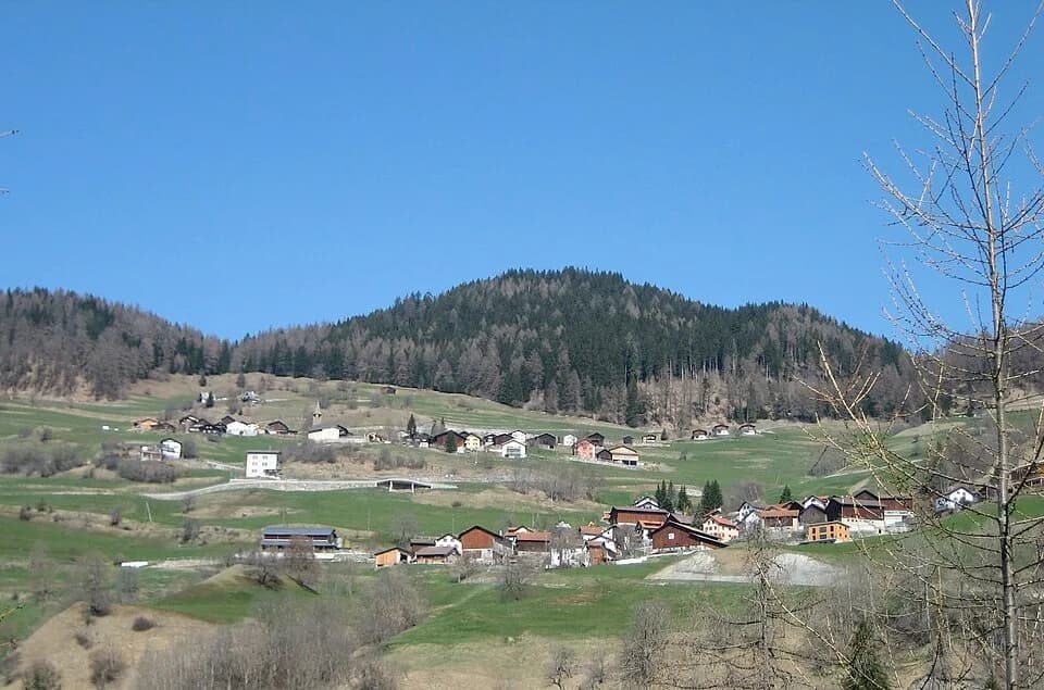 Scheid