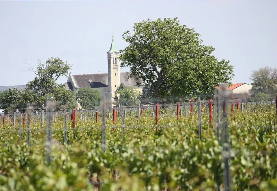 Wallern im Burgenland