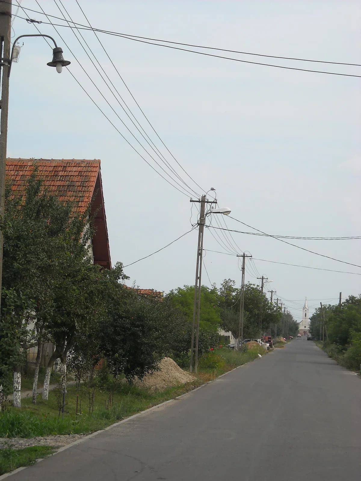 Variașu Mare