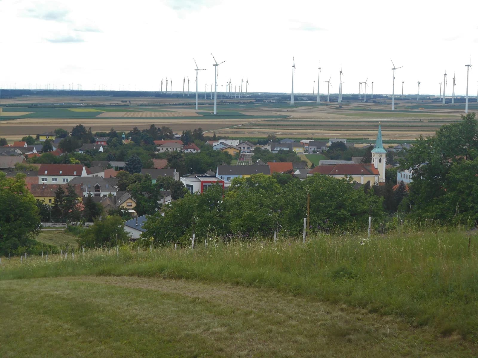 Berg
