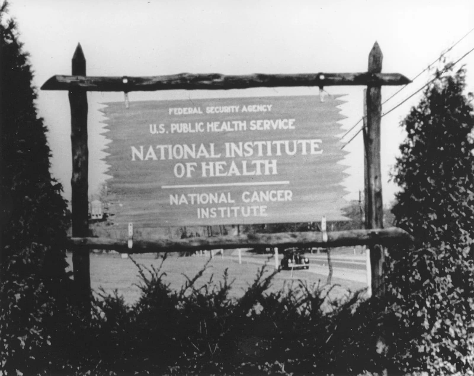 National Cancer Institute