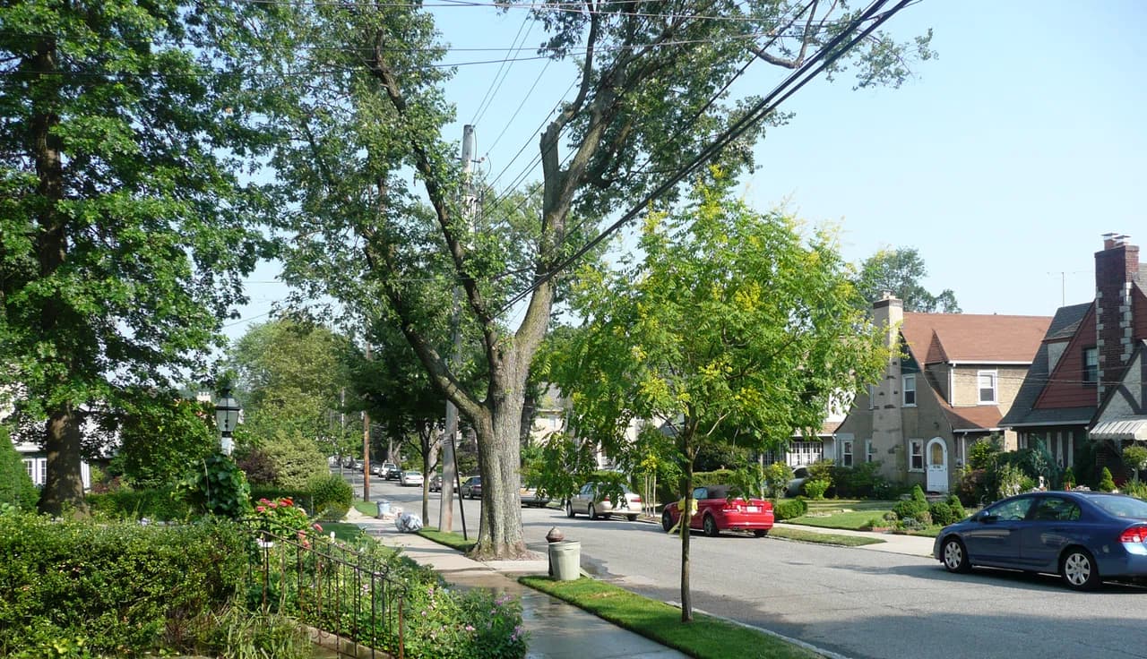 Little Neck