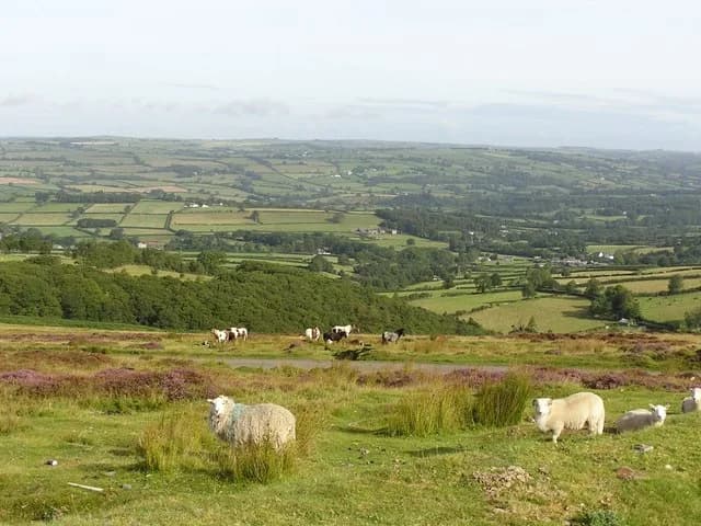 Llanllwni