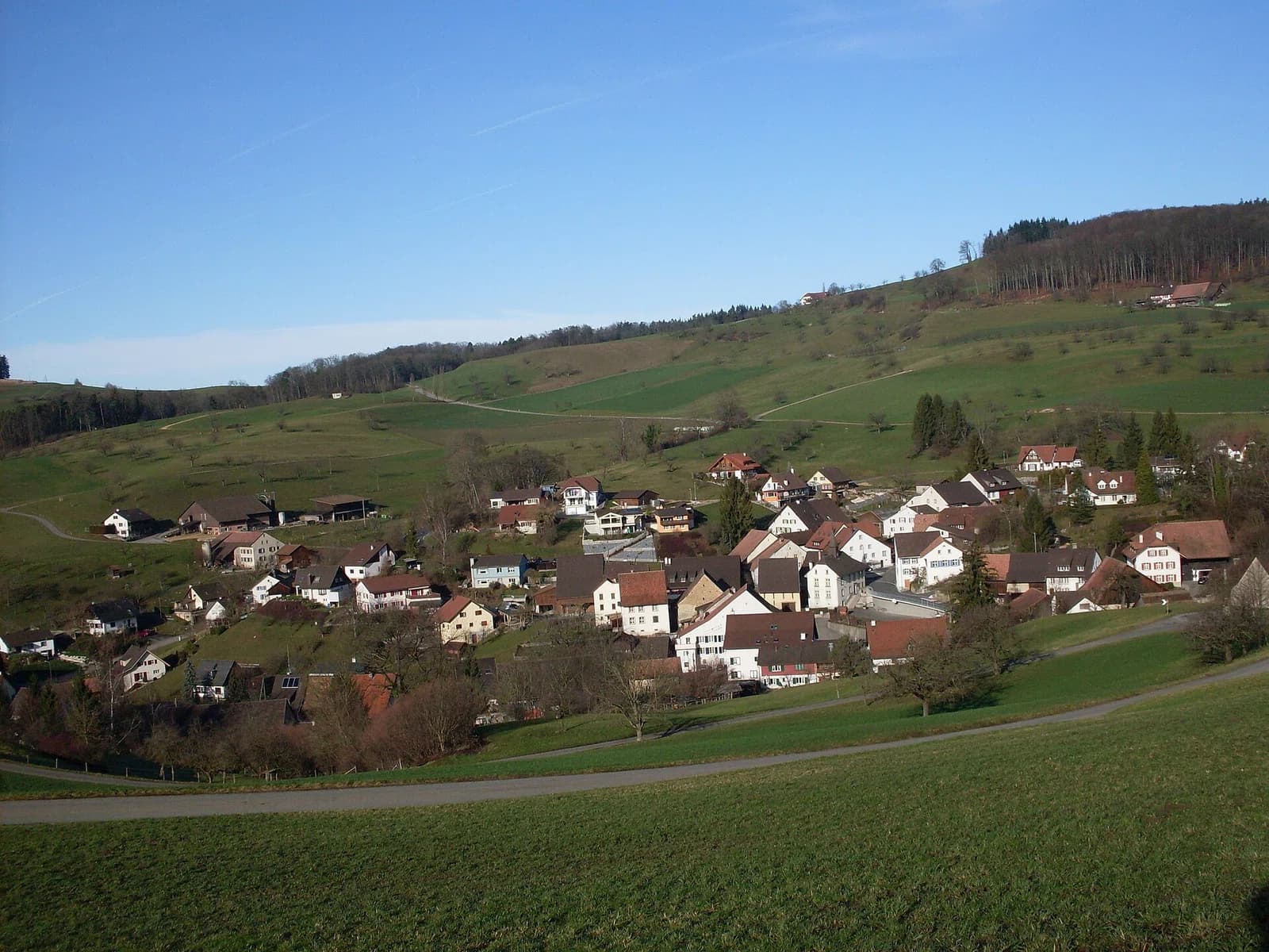 Hemmiken
