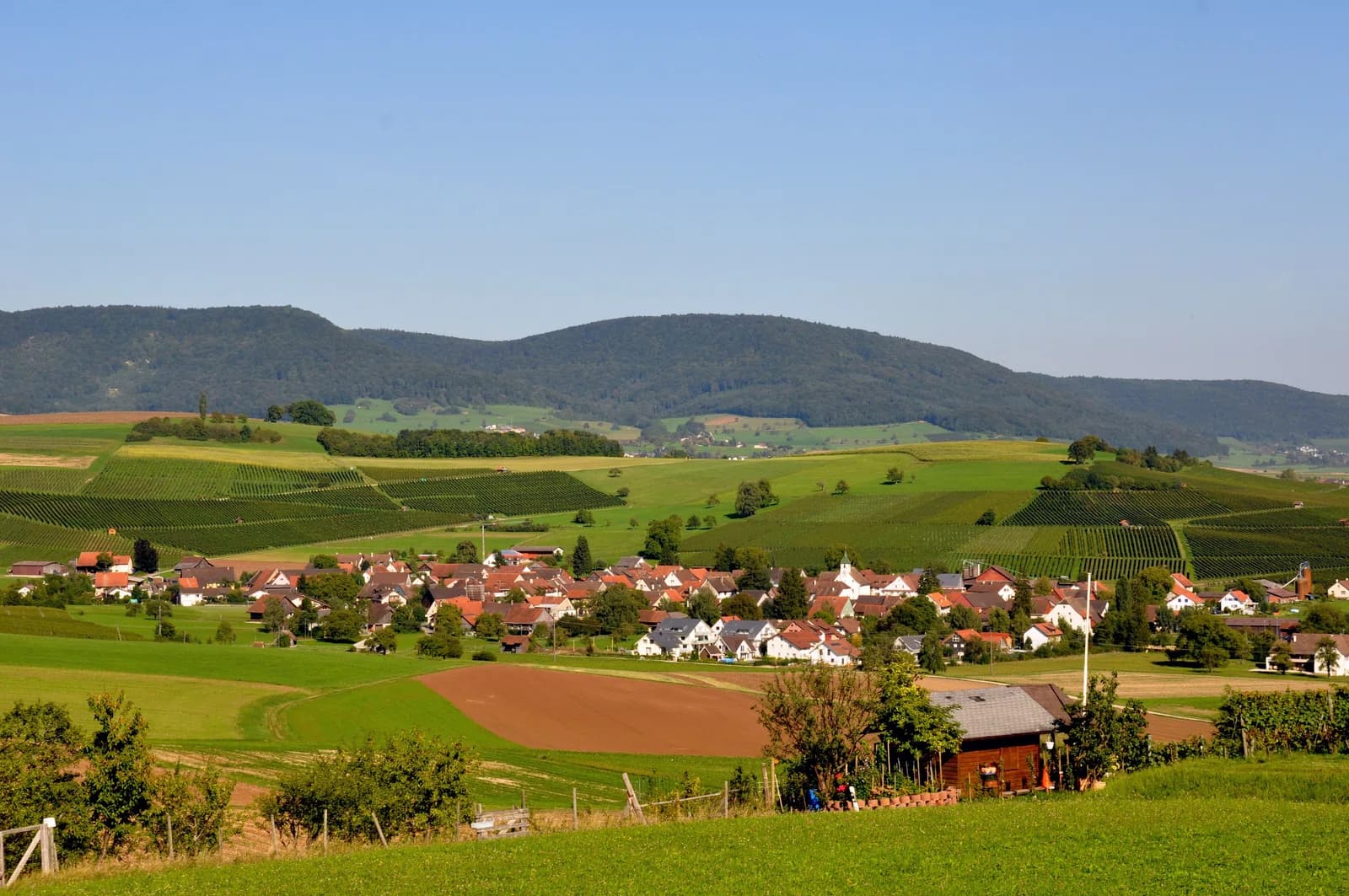 Oberhallau