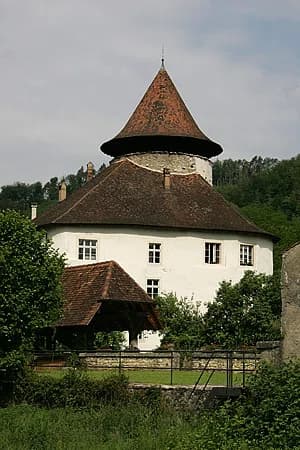 Zwingen