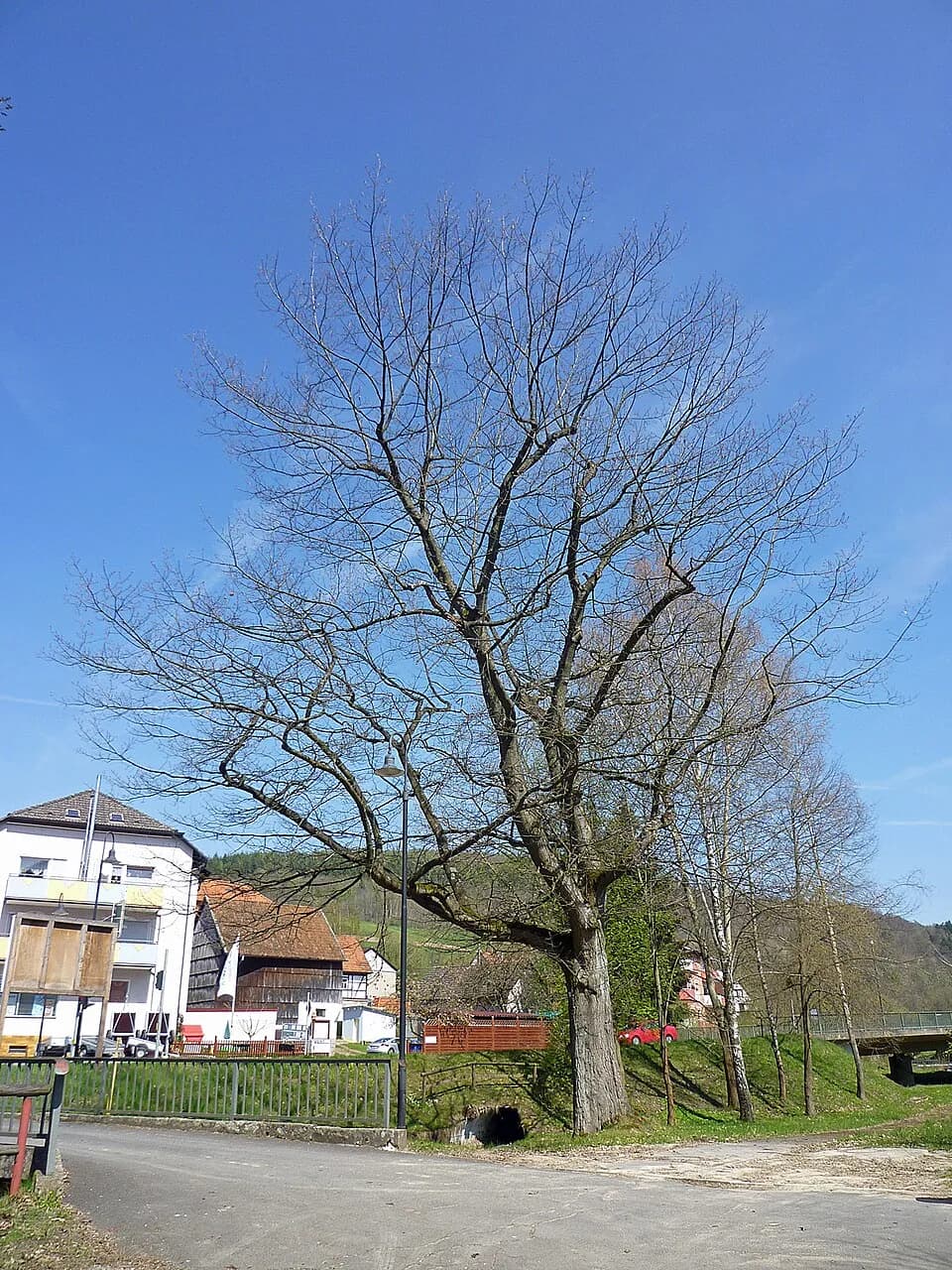 Römershag
