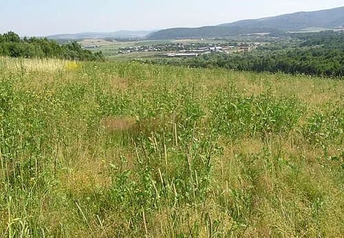 Stročín