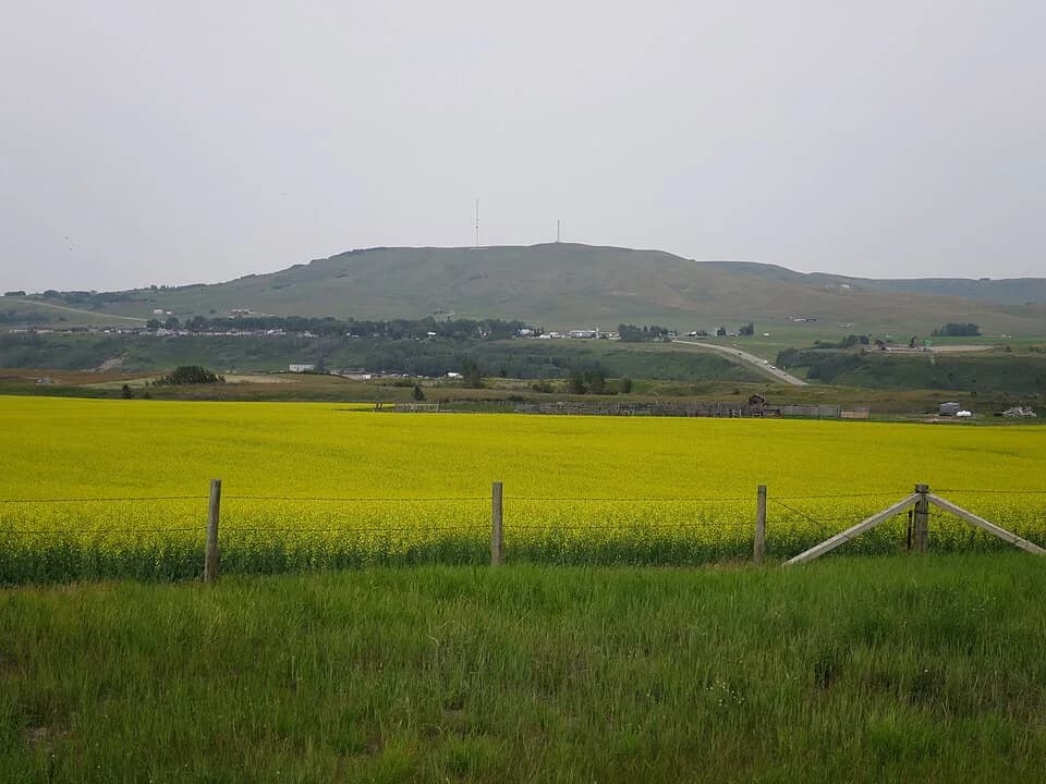 Longview