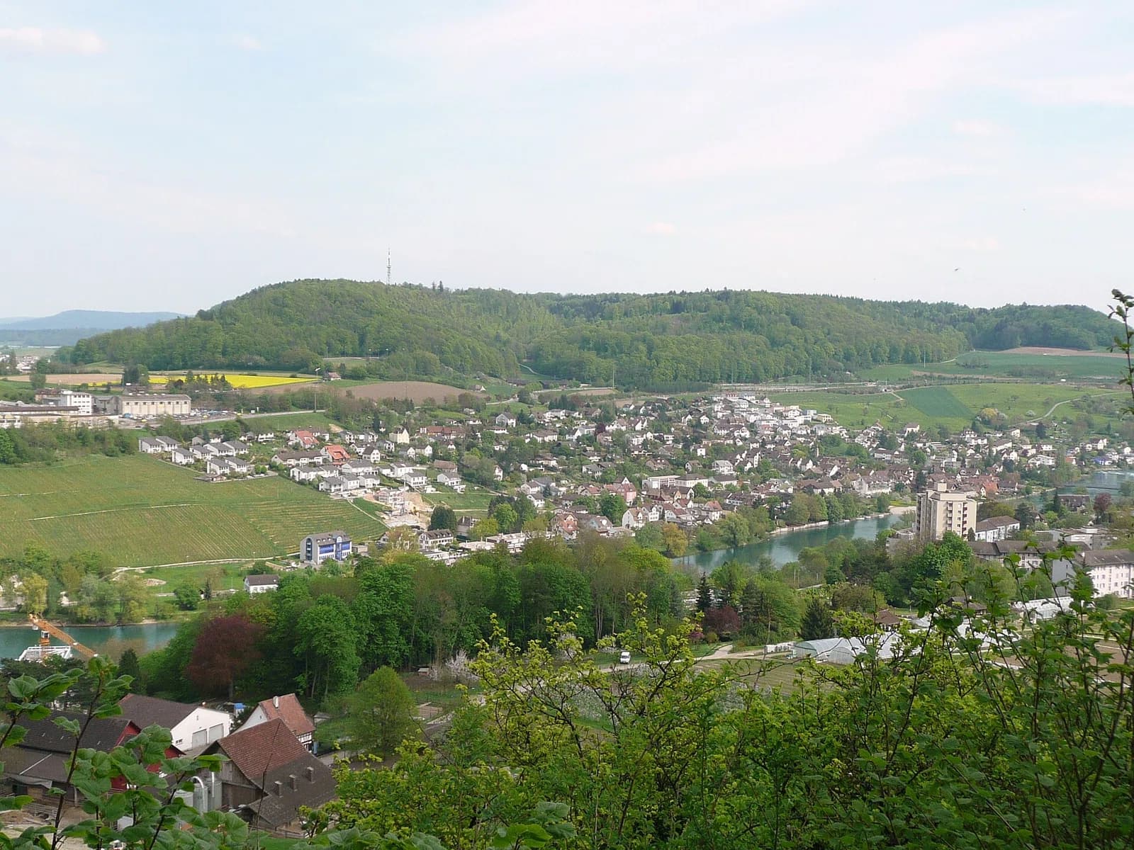 Flurlingen