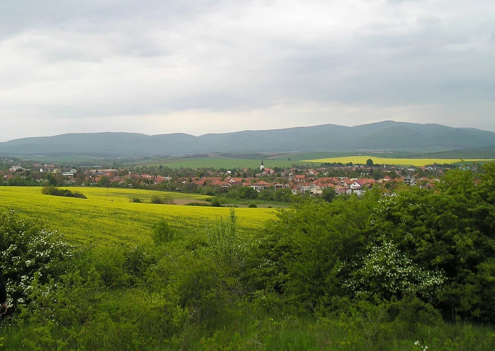 Kozárovce