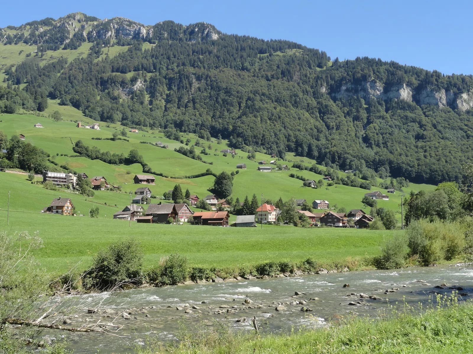 Stein
