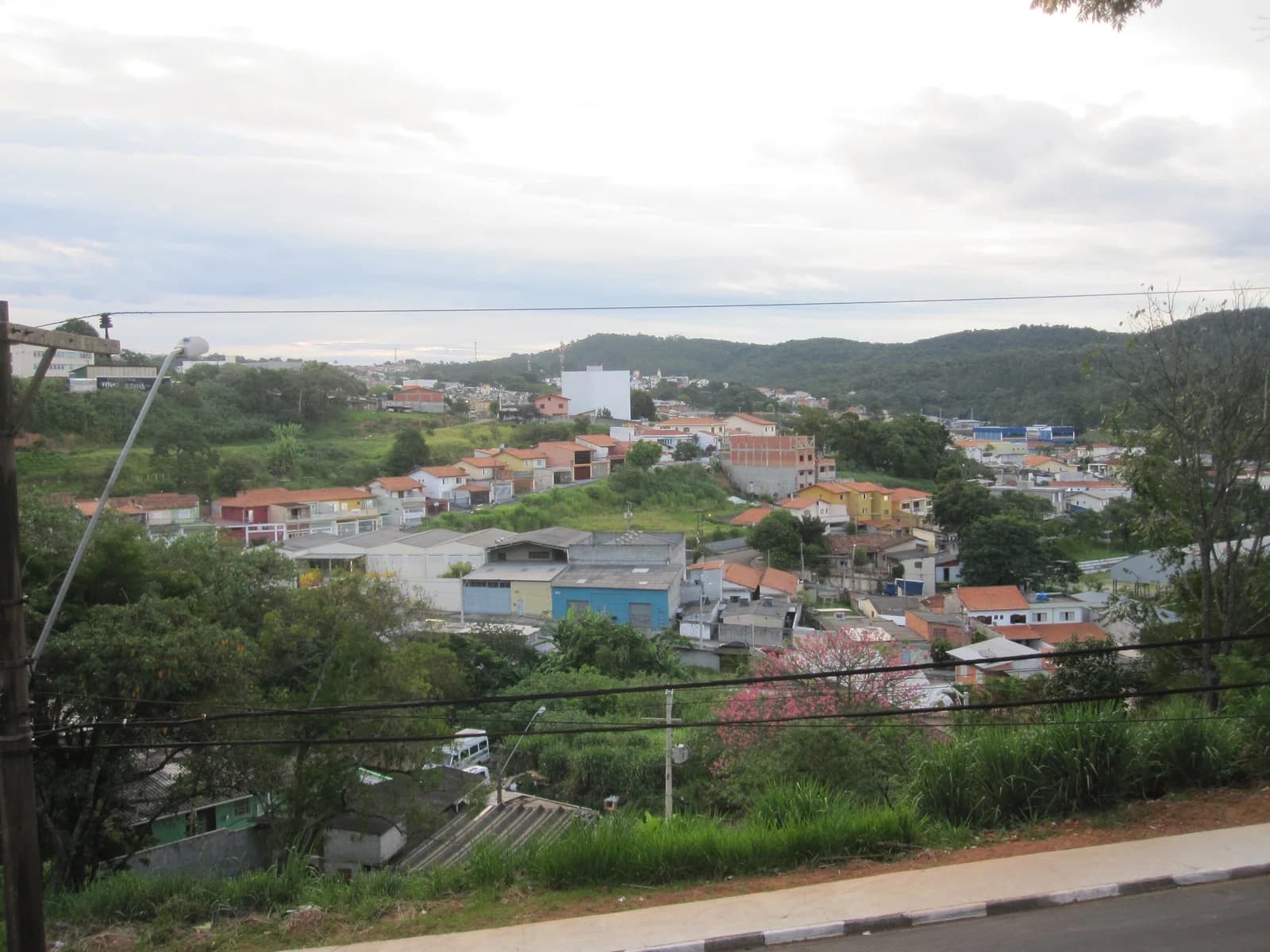 Cotia