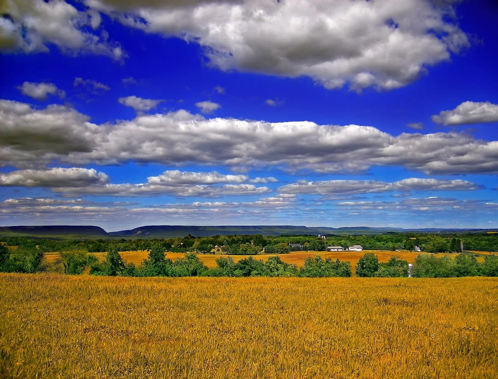 Lower Mount Bethel Township