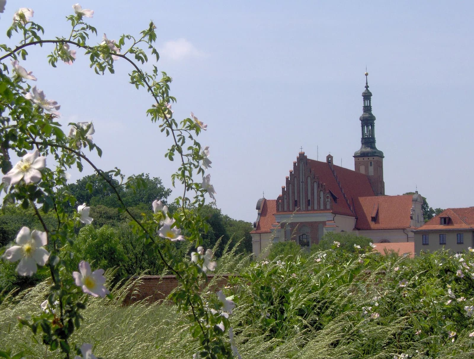 Lubiń