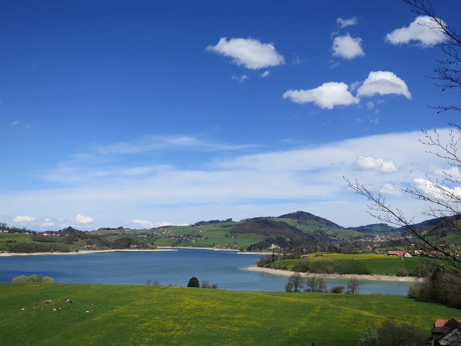 Marsens
