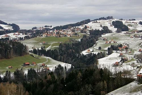 Wald