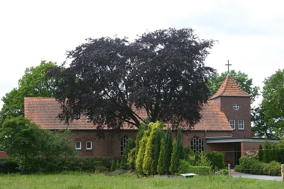 Neuschoo