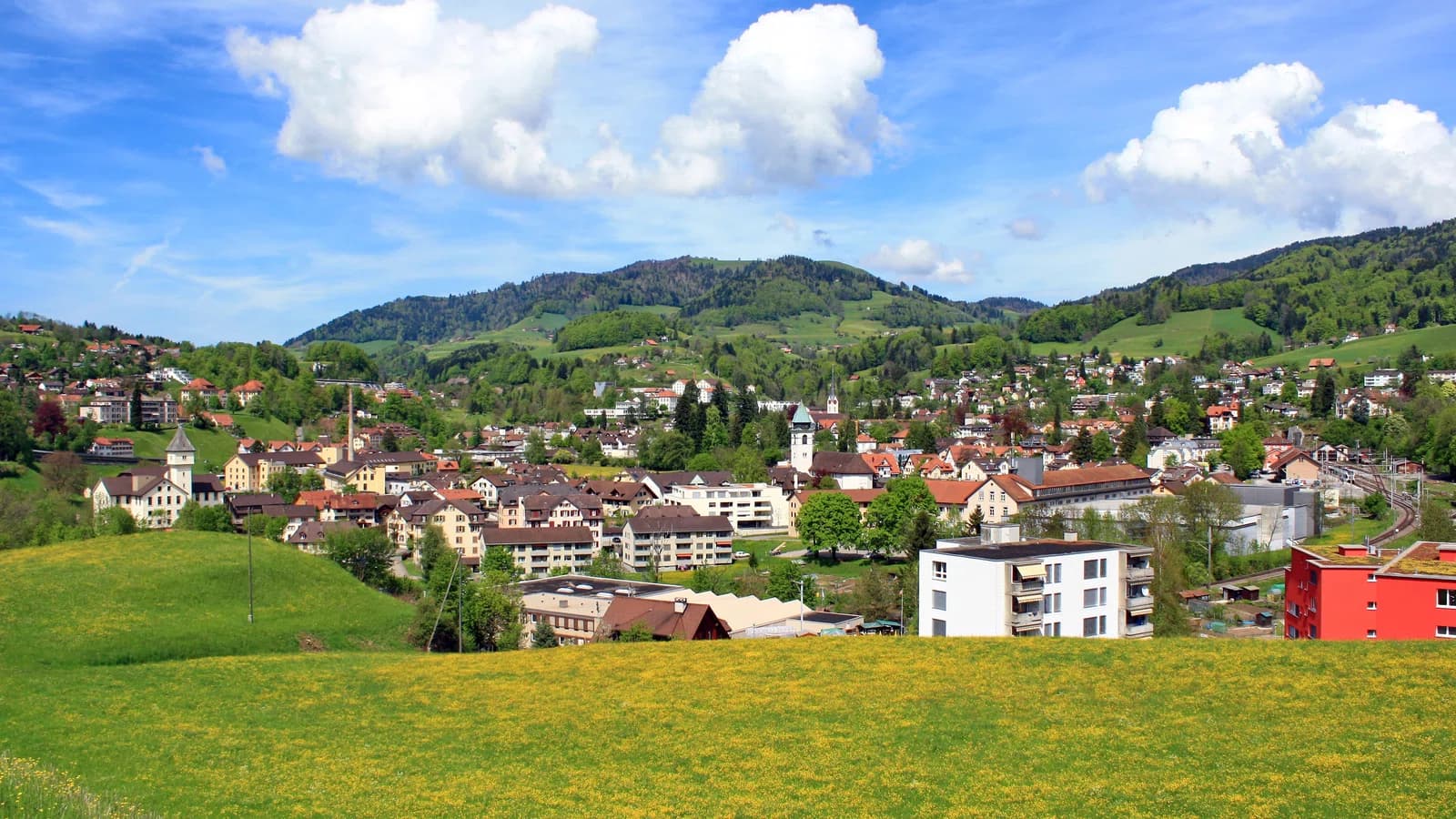 Wald