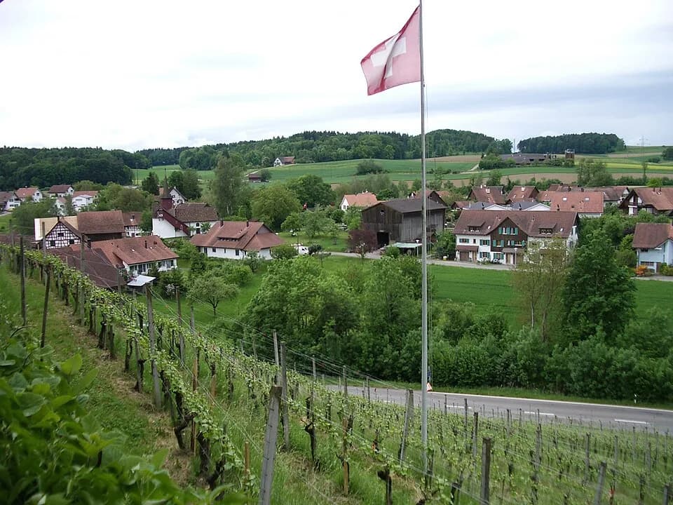 Waltalingen