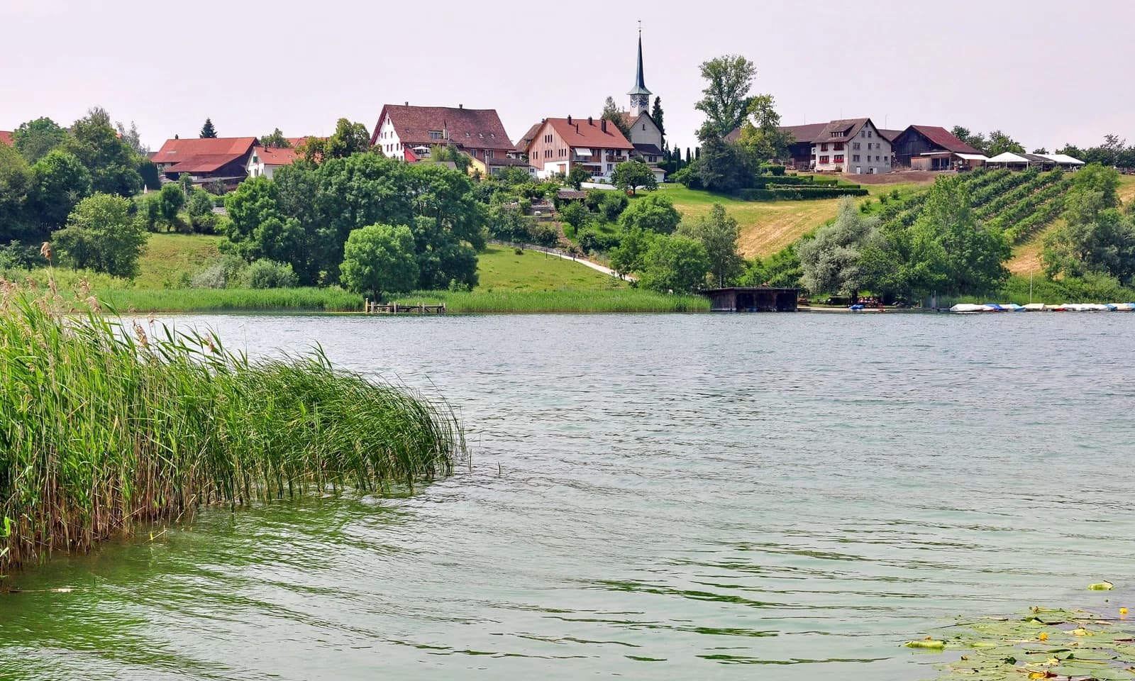 Seegräben