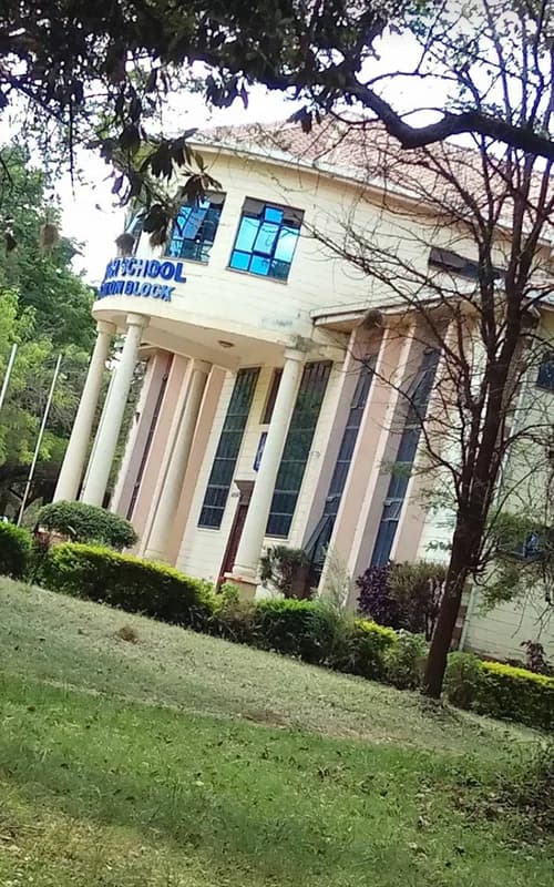 Mang'u High School
