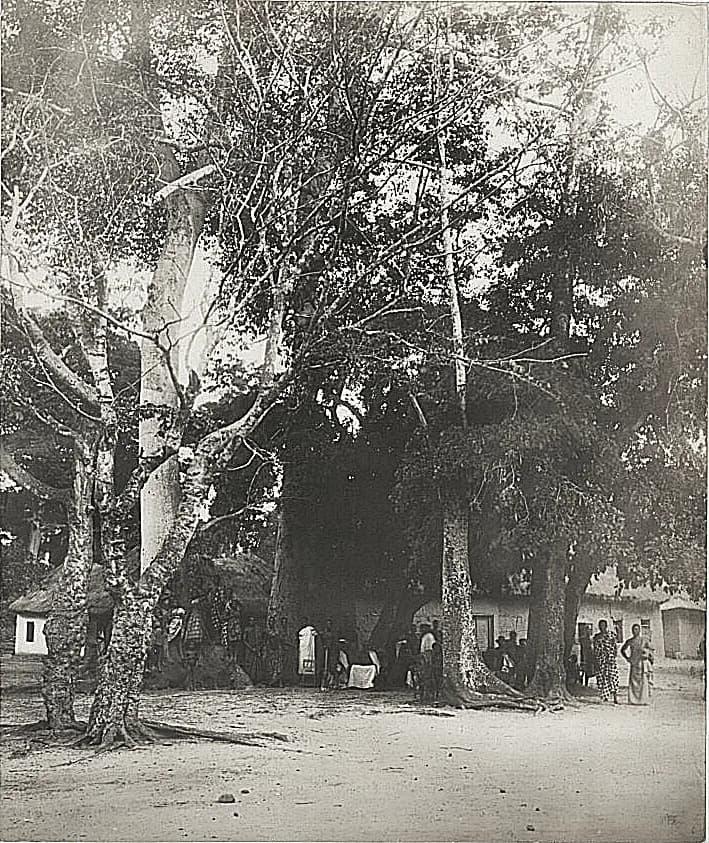 Mankessim