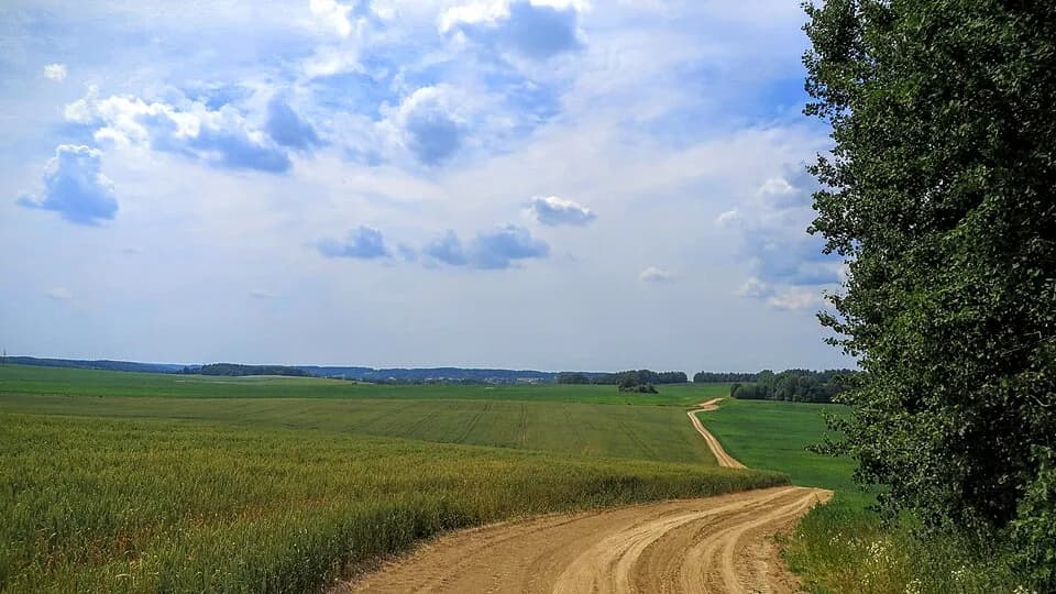 Smaliavičy District