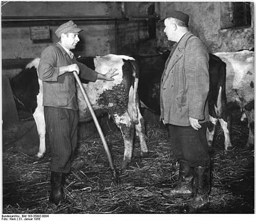 Bergholz
