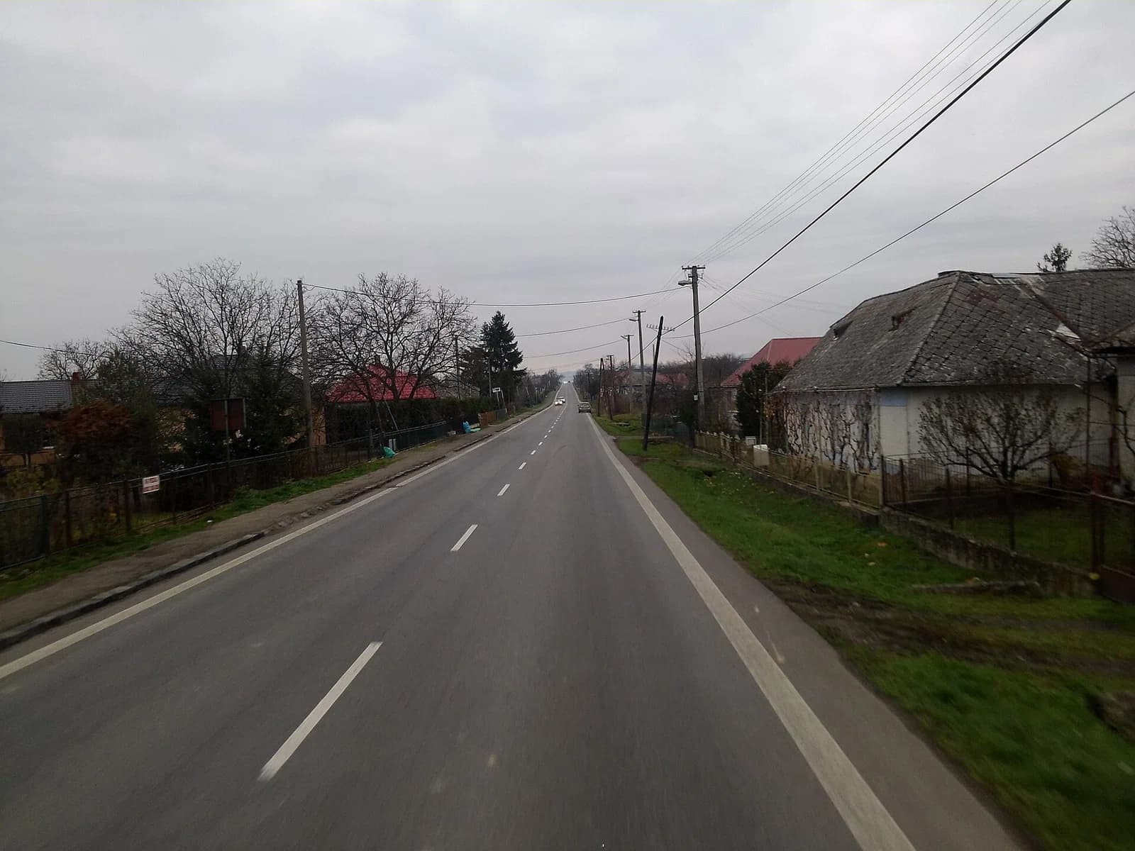Krčava