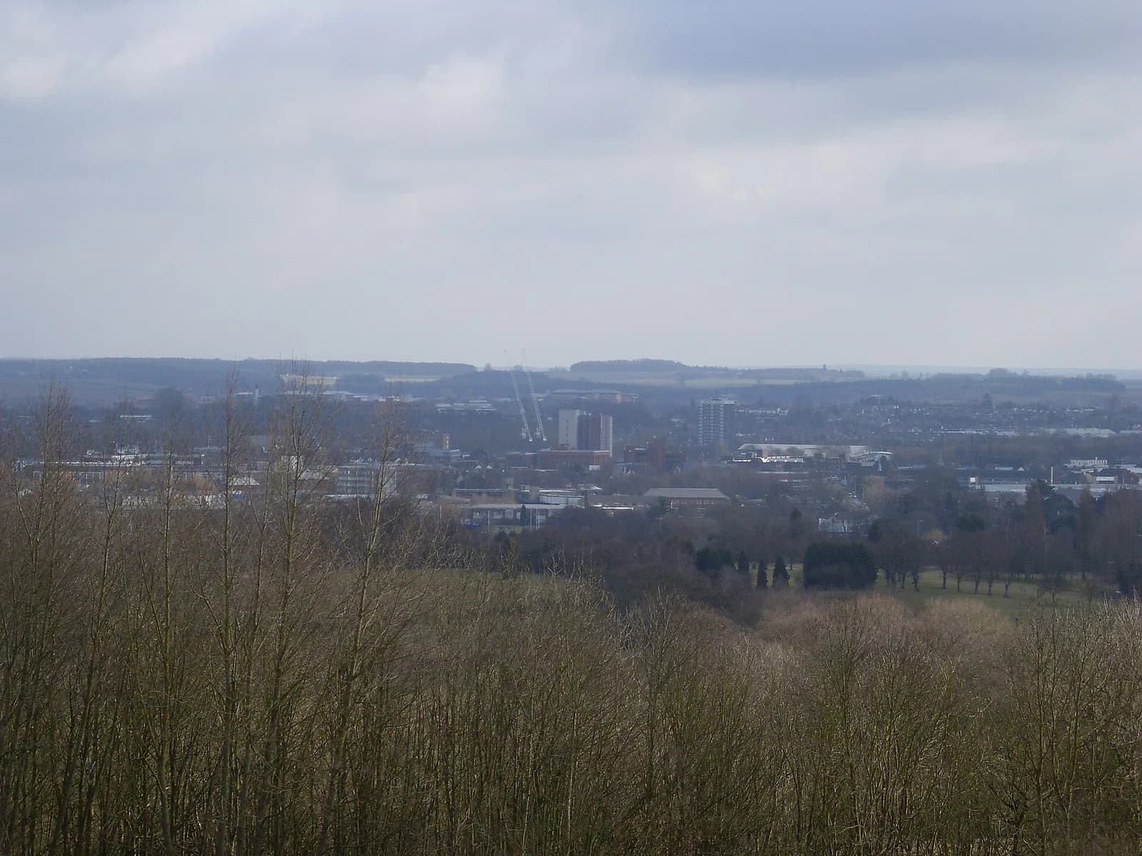 Stafford