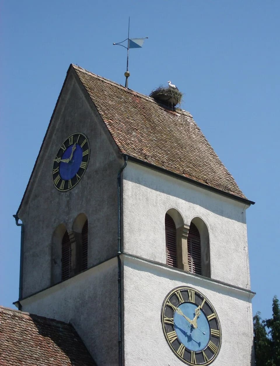 Steinmaur