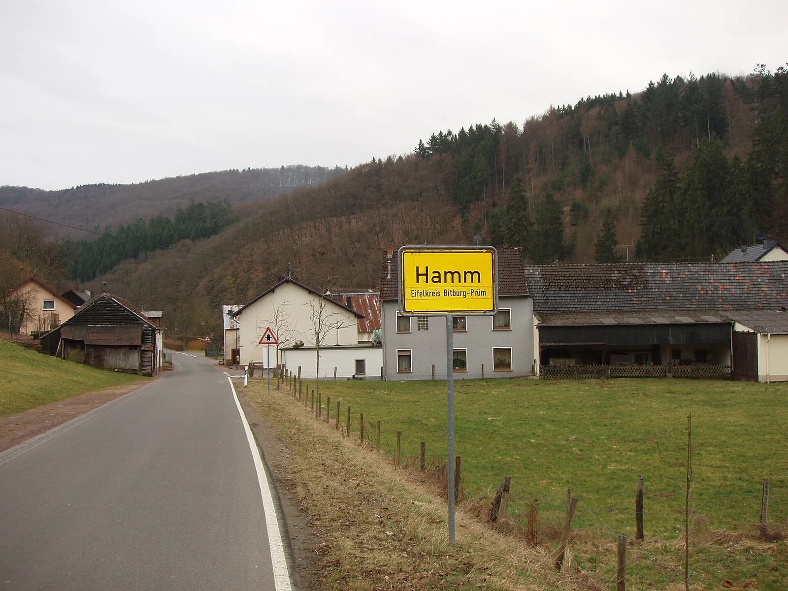 Hamm