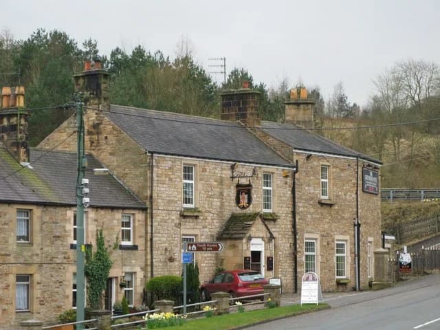 Greenhead