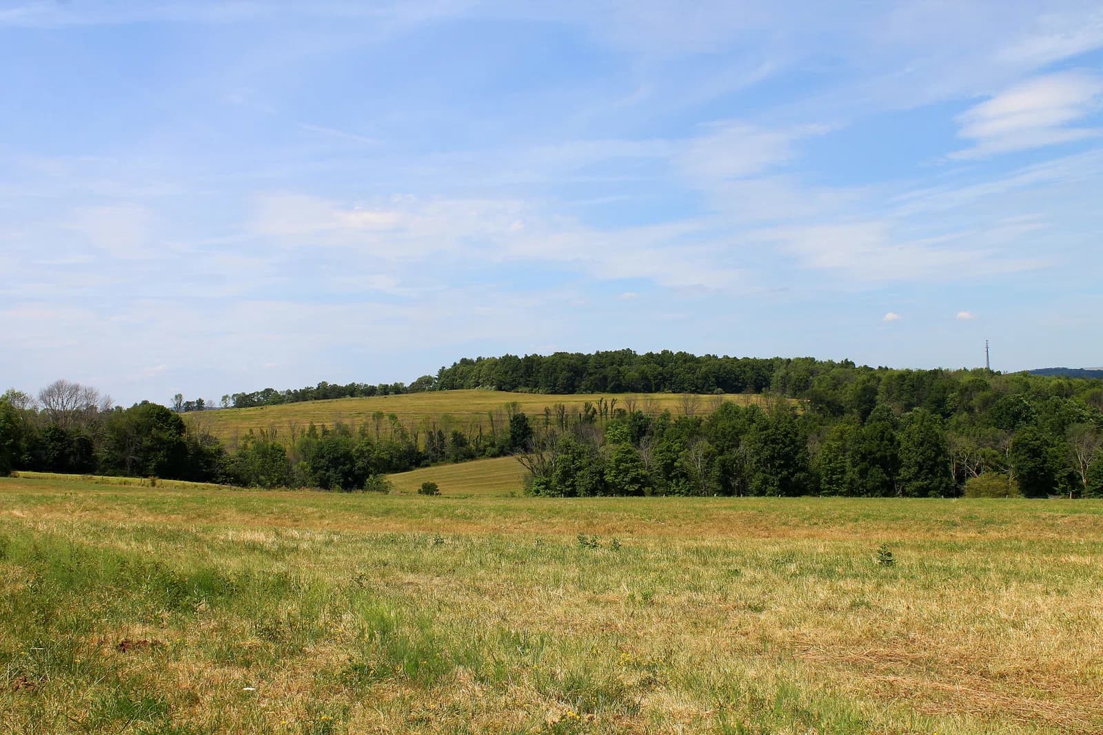 Mehoopany Township