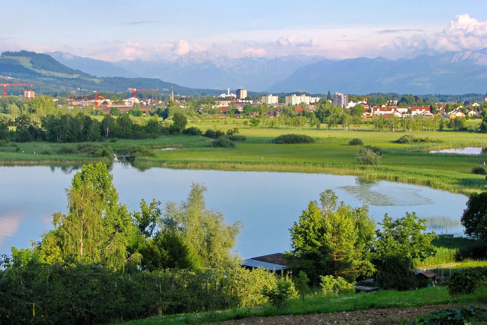 Wetzikon