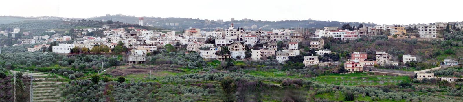 Mieh Mieh