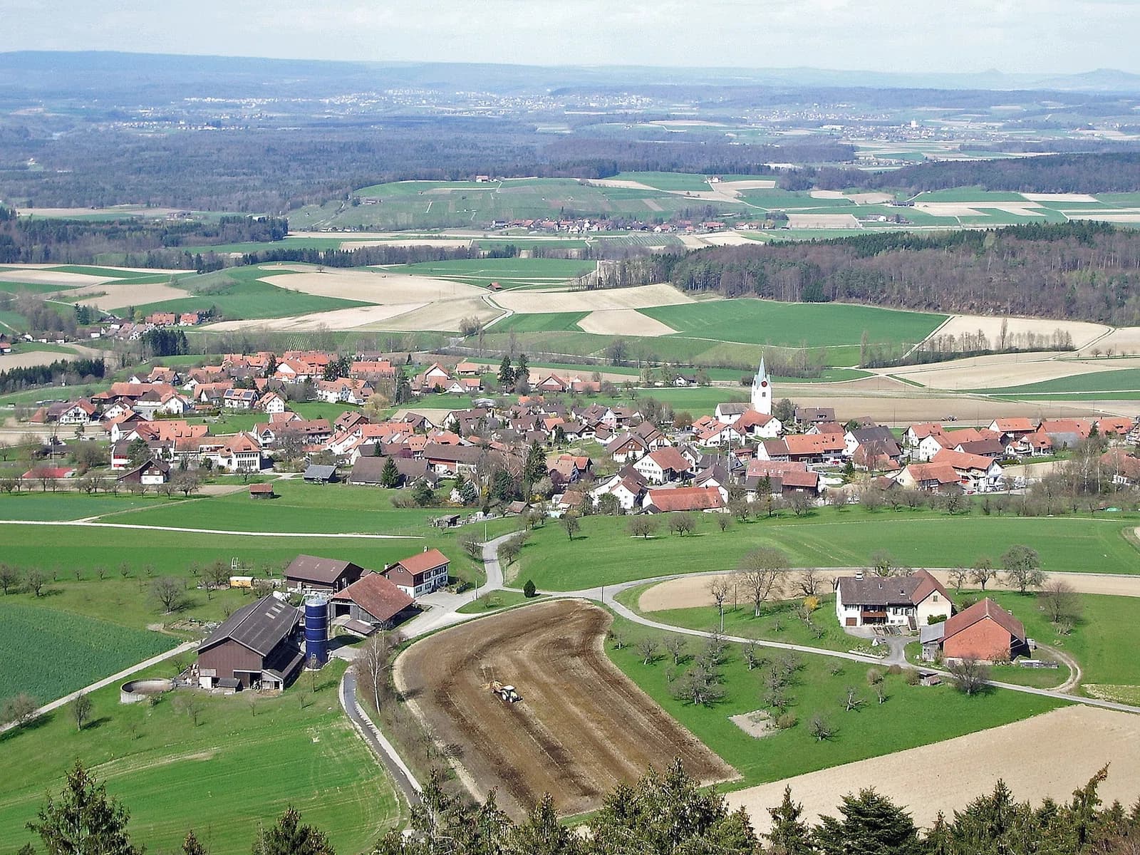 Buch am Irchel