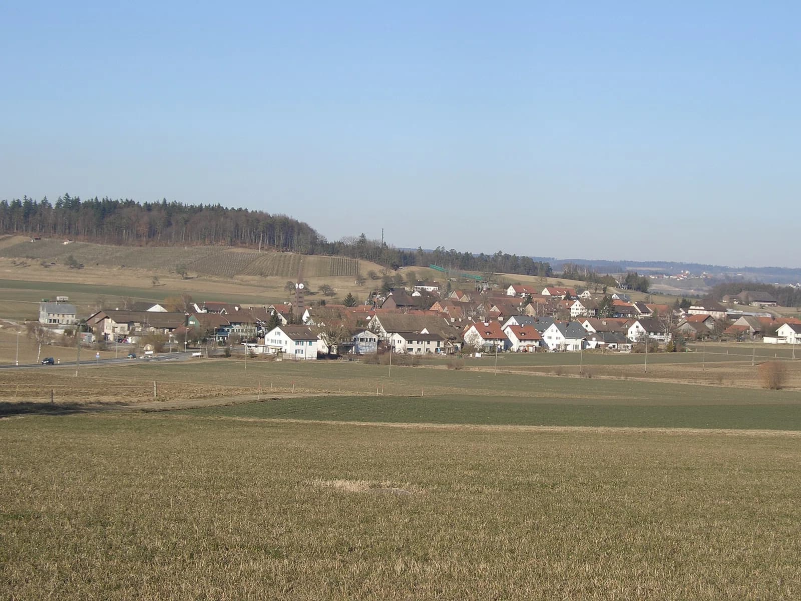 Rickenbach ZH