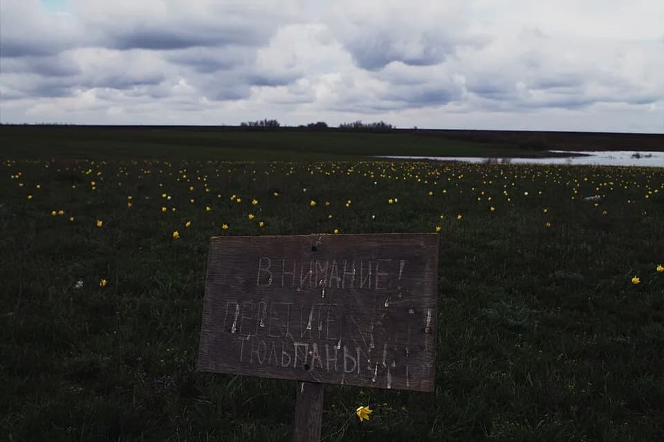 Pugachyovsky District