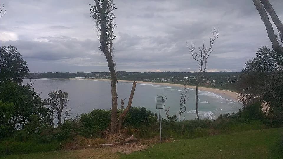 Mollymook
