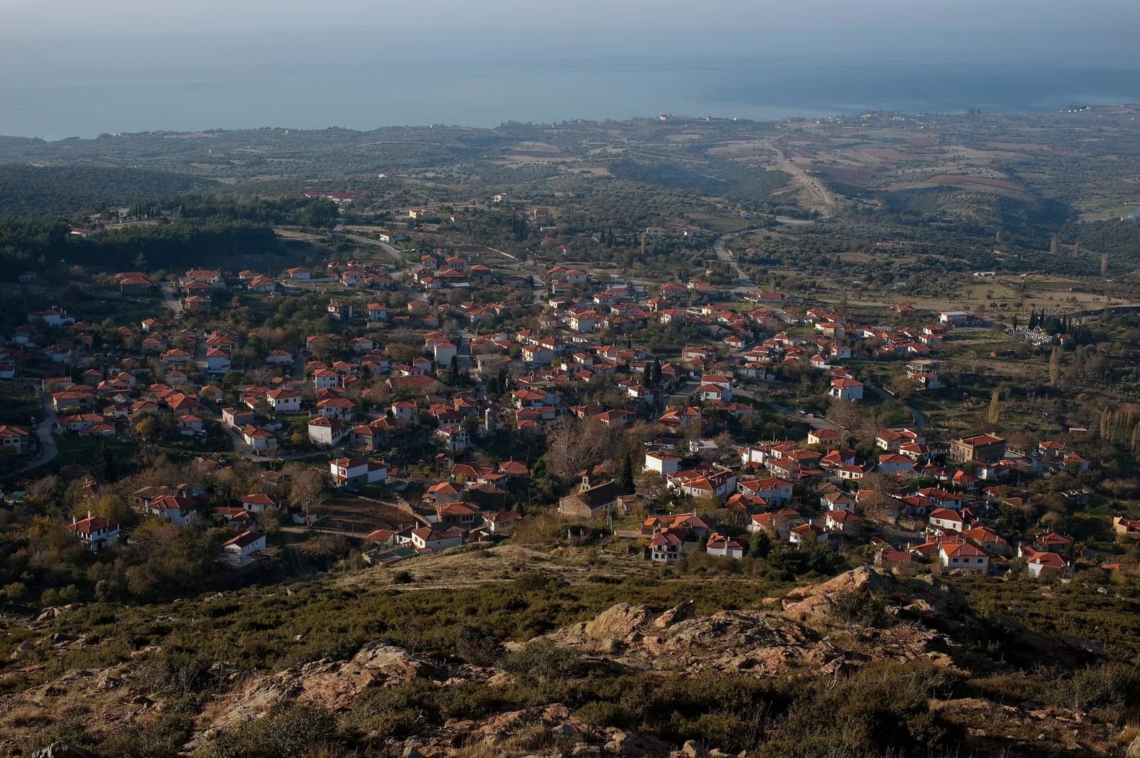 Maroneia