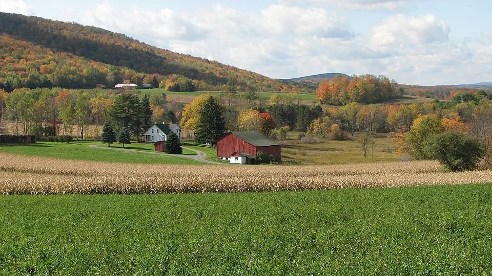 Morris Township