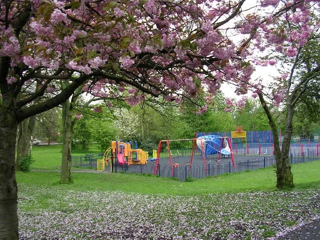 Moston